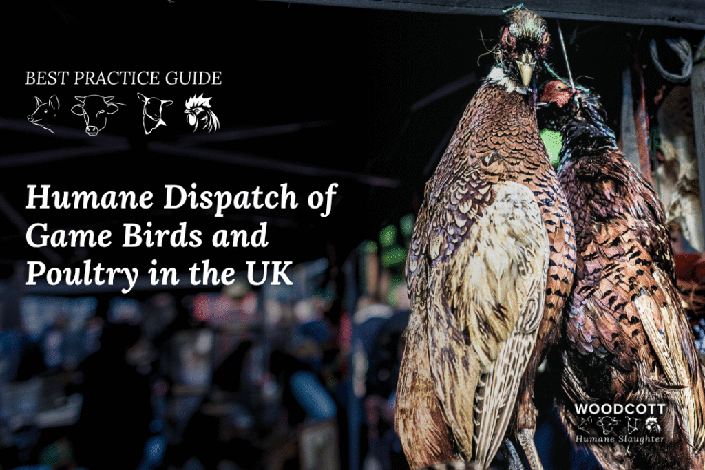 captive bolt stunning, humane bird dispatcher