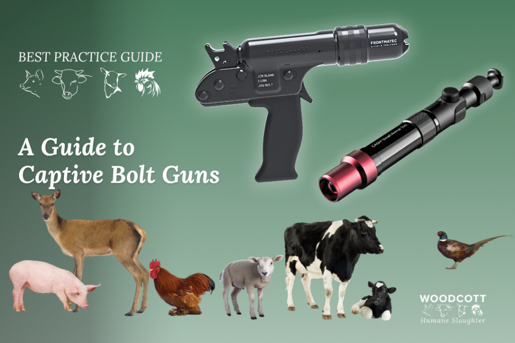 Captive bolt stunning, humane stunners for animals